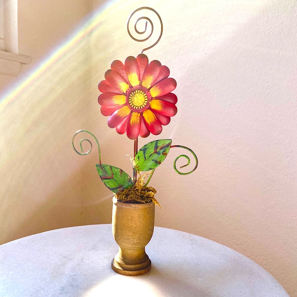 Flower Photo Clip
